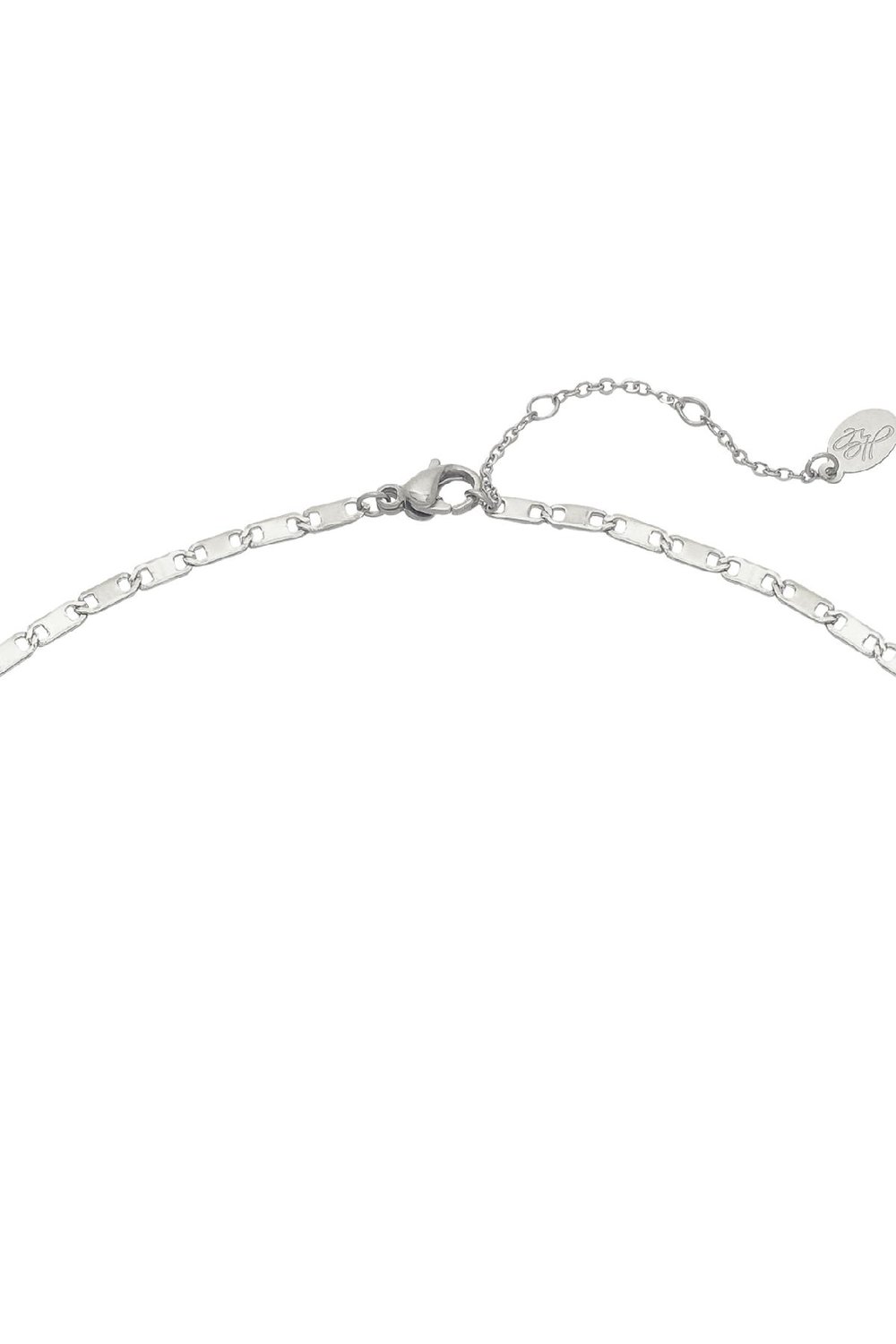 Ketting Palm Tree Quote Zilver Stainless Steel h5Afbeelding3